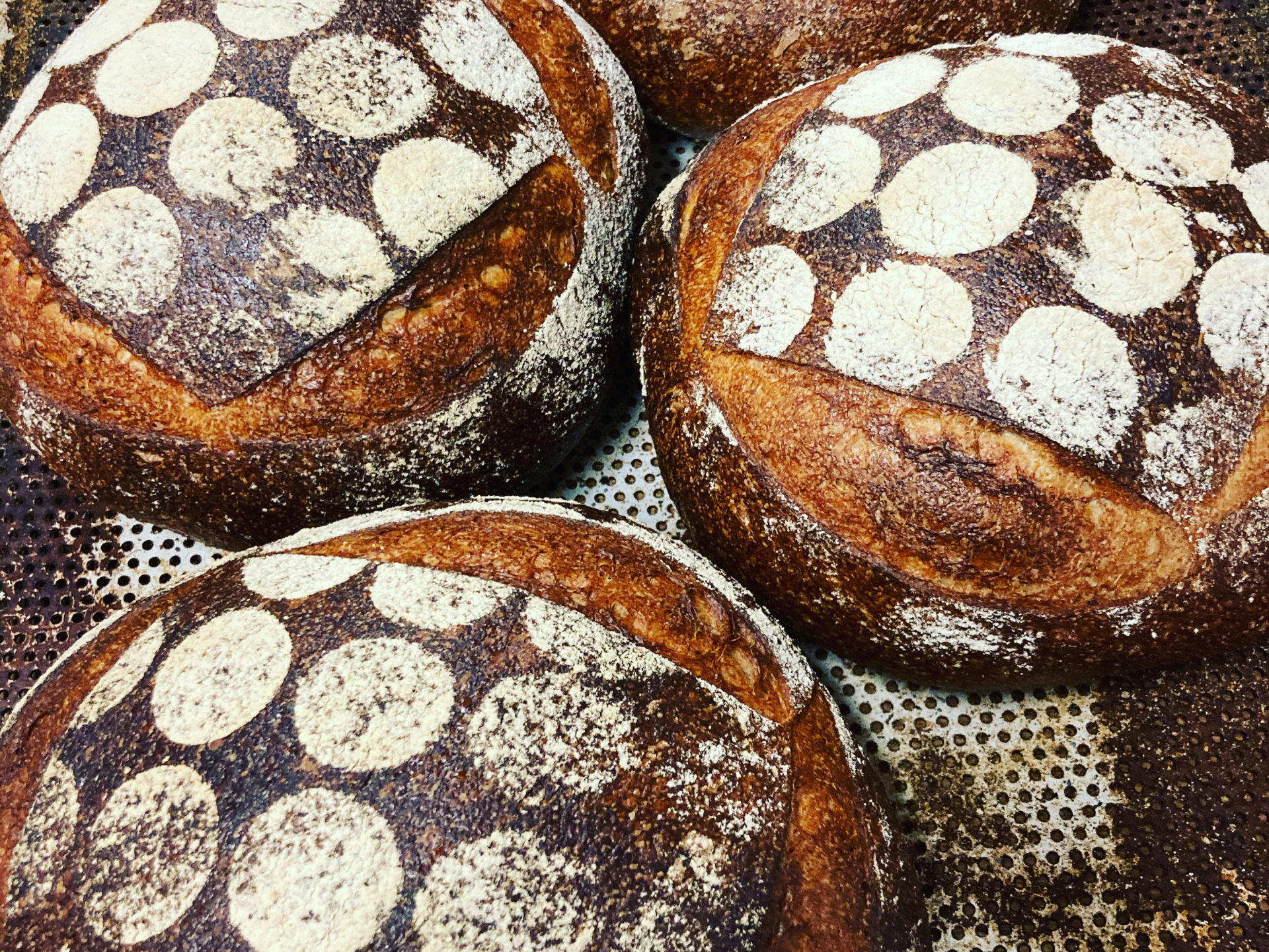 roslagsbageriet-brodbod-brod-limpa